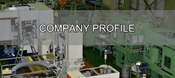 company profile